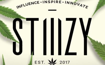 The Stiiizy Magic: A Comprehensive Review for Houston Vapers
