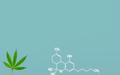 Your Ultimate Guide to Delta-8 and Delta-9 THC Products in Houston