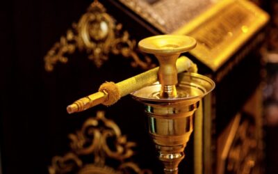 Latest Al Fakher States of Taste Flavors at Smoke Alley: A Houston Hookah Experience