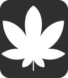 CBD products at Smoke Alley